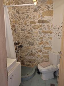 Stone Mansion 150 years old with Yard & BBQ Chania