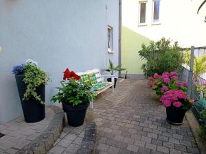 Ferienwohnung mit Terrasse