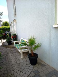 Ferienwohnung mit Terrasse