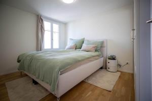 DIHEI-Suite in Romanshorn - zentral am Bodensee