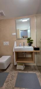 Apartmanica Chalet 1A, finnish sauna, jacuzzi, garage, Donovaly
