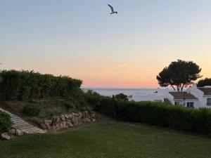 Sea View Oasis in Rancho Mirafloress