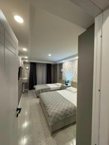 Cozy Apartment Borjomi