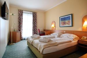 Standard Double Room room in Hotel Rose
