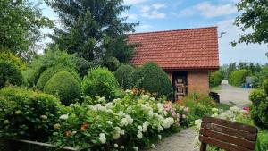 Agroturystyka u Bogusi