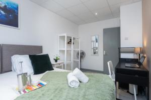 Open Mind Property - Spacious 2BR Flat City Views