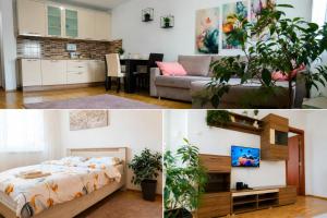 Alacaster G apartman FREE PARKING
