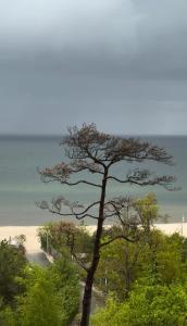 Gold Apartament z widokiem na morze Dziwnówek
