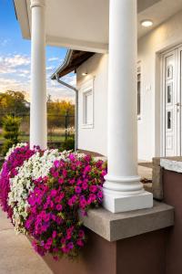 Royal Vila Negotin - Private Parking, Garden and Terrace