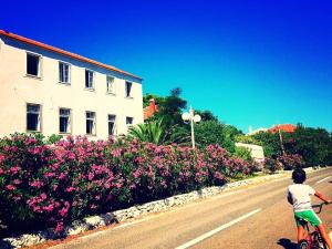 Amarcord Skola - Ubytování bez kategorie ve městě Veli Rat