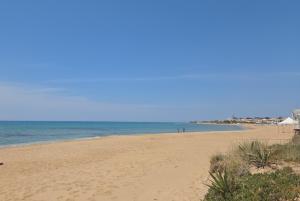 AM-MARE