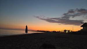 AM-MARE
