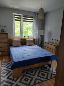 Apartament Przyjaźń