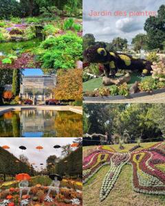 Lumineux T2 cosy Jardin des Plantes et parking privé gratuit