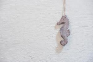 Seahorse Cottage