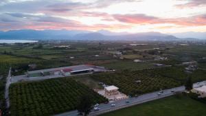 Antaia 3