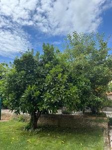 Marevita Garden Apartment Lanterna