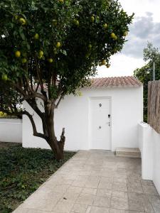 Orange Vibes Guest house