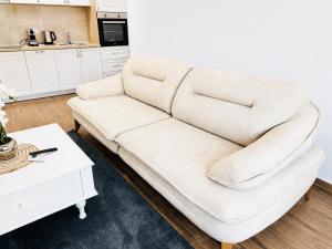 Swiss Luxury Appartement