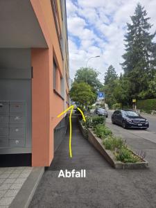 Niesenblick Suite
