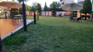 Villa e Palme