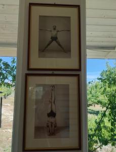 Sole e Cerase - Vacay Home in Apulia