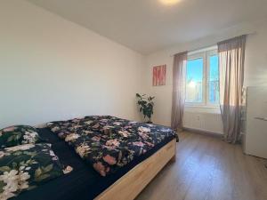Two-bedroom apartment in the city center