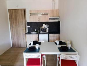 Brand New studio apartment #11 near center with FREE street parking