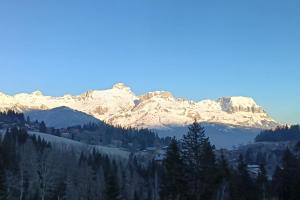 Rayon des Aravis