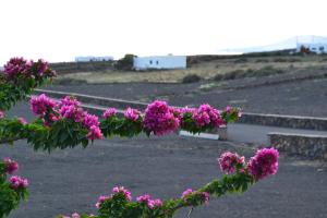 Apartamento La Finca