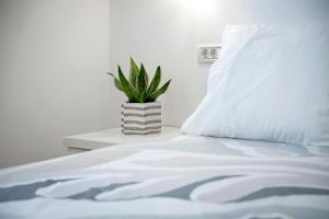Alida Apartments & Room near the Sea