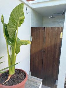 Casa torelli verde