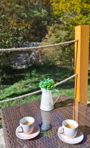 Holiday Home Veruša