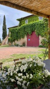 The Bellosguardo farm, a corner of Tuscany from a bygone era