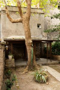Cozy & Real Trastevere Apt