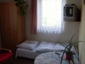 Double or Twin Room room in Pension U Kaštanů