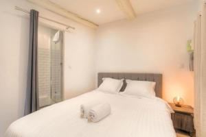 Beautiful bright apartment - Near Fourvière