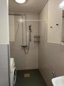Spacious one room apartment