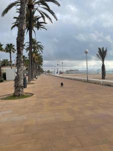 Apartamento en la playa de Urbanova - Alicante