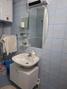 Domaćinstvo Drenak Besnjaja