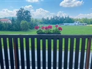 Penzion Kolovna