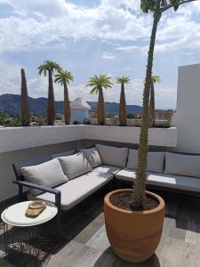 Suite Rosa con Balcón en el Corazón de Oaxaca