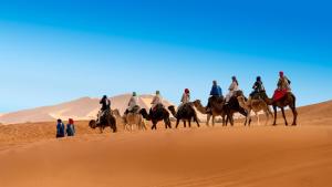 Royal Sands Luxury Camp