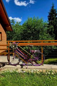 Romantic cabin in the woods - Fesnga, Slovenia