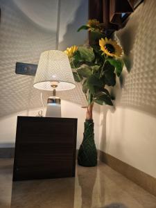 Premium 1BHK Near Vijay Nagar & Bombay Hospital