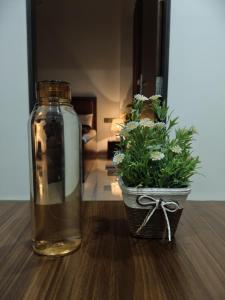 Premium 1BHK Near Vijay Nagar & Bombay Hospital