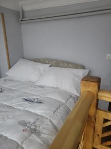 AELA guest house Signaghi