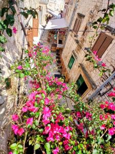 Hvar old Town Boutique