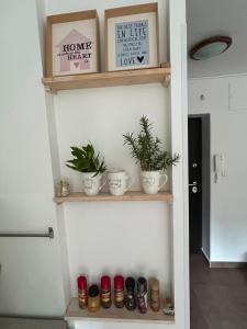 Apartment Safran