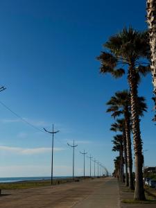 Stylish Beachfront Gonio Apartment